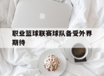 职业篮球联赛球队备受外界期待