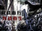 包含武装力量战胜对手，实力稳步提升的词条