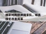 关于精彩对阵欧洲国家队，球员技艺尽显风采的信息